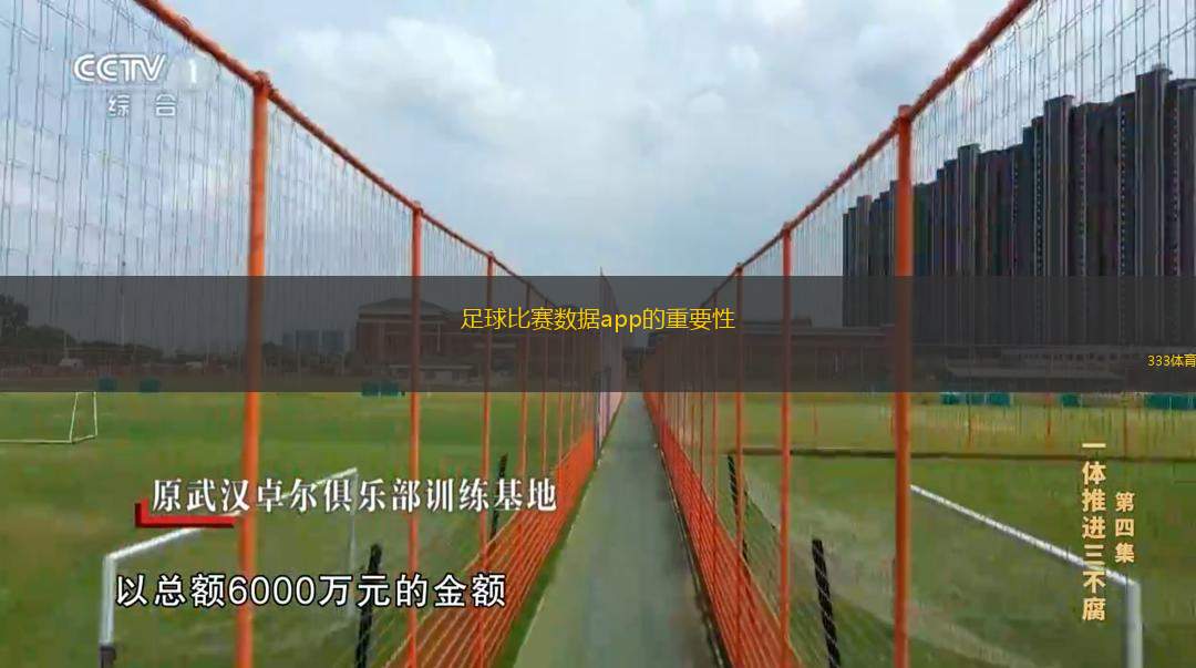  足球比賽數(shù)據(jù)app的重要性