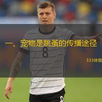  一、寵物是跳蚤的傳播途徑