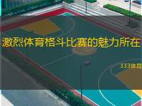  激烈體育格斗比賽的魅力所在