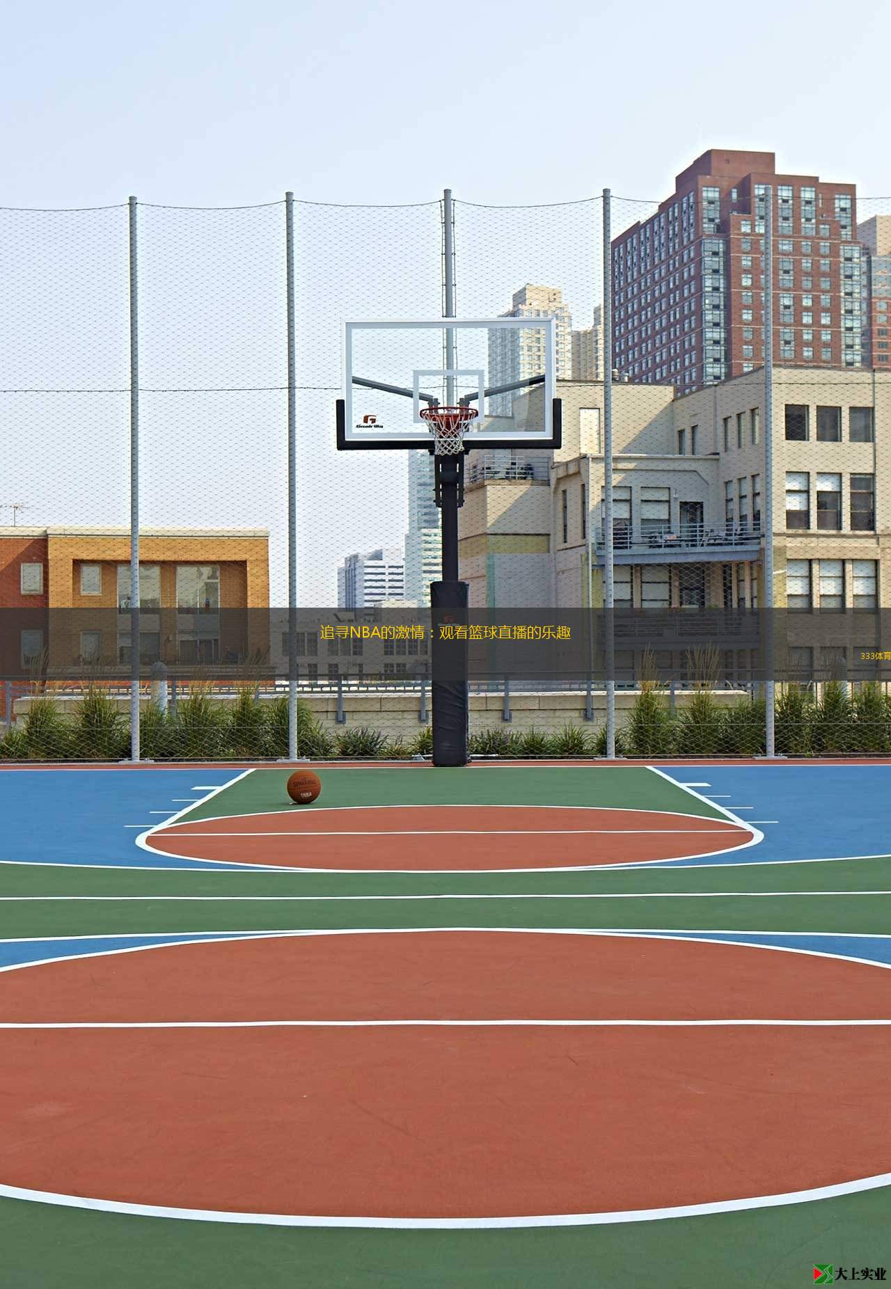 追尋NBA的激情：觀看籃球直播的樂趣