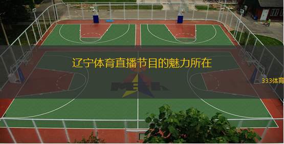  遼寧體育直播節(jié)目的魅力所在