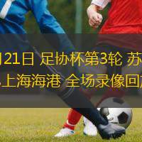05月21日 足協(xié)杯第3輪 蘇州東吳vs上海海港 全場(chǎng)錄像回放