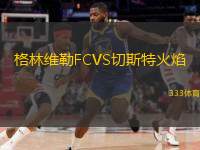  格林維勒FCVS切斯特火焰