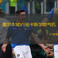  墨爾本城VS紐卡斯?fàn)枃姎鈾C(jī)