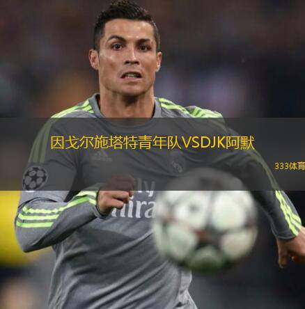 因戈爾施塔特青年隊VSDJK阿默