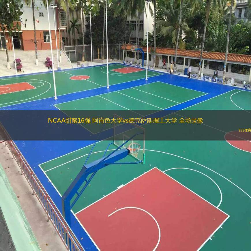  NCAA甜蜜16強 阿肯色大學(xué)vs德克薩斯理工大學(xué) 全場錄像