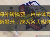  西甲，作為全球最受歡迎的足球聯(lián)賽之一，其海外轉(zhuǎn)播費一直是體育經(jīng)濟(jì)領(lǐng)域的熱門話題。近年來，隨著足球運動的全球化發(fā)展，西甲聯(lián)賽的海外轉(zhuǎn)播權(quán)價值不斷攀升，成為各大媒體公司競相爭奪的寶貴資源。西甲聯(lián)賽不僅擁有