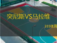  突尼斯VS馬拉維