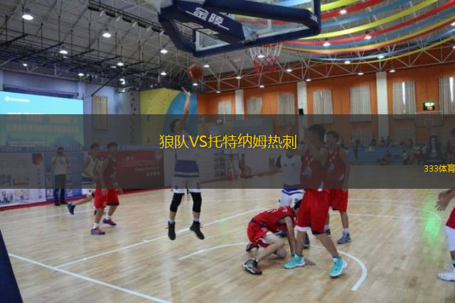 狼隊VS托特納姆熱刺