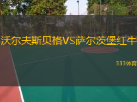  沃爾夫斯貝格VS薩爾茨堡紅牛