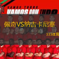  佩奇VS納吉卡尼塞