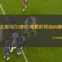  比勒菲爾德VS德累斯頓迪納摩