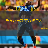  基希訥烏野牛VS謝里夫