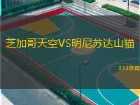  芝加哥天空VS明尼蘇達(dá)山貓