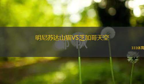  明尼蘇達(dá)山貓VS芝加哥天空