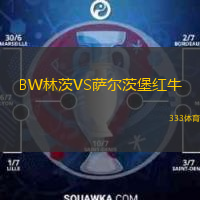  BW林茨VS薩爾茨堡紅牛