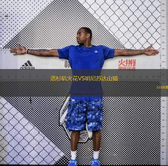  洛杉磯火花VS明尼蘇達(dá)山貓