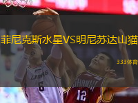  菲尼克斯水星VS明尼蘇達(dá)山貓